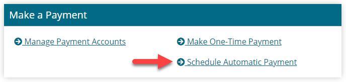 Choose Schedule Automatic Payment